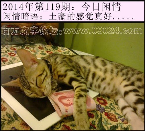 119期今日闲情：土豪的感觉真好.....