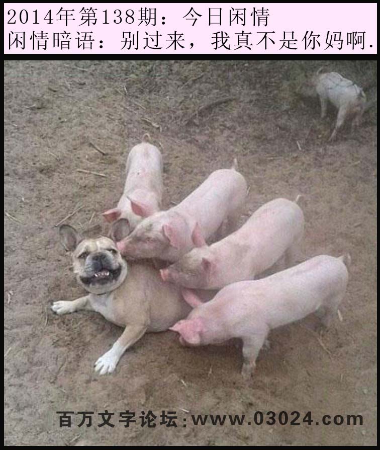 138期今日闲情：别过来，我真不是你妈啊。