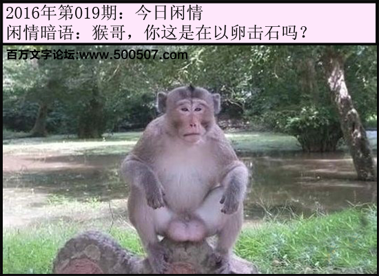 019期：玄机图/悟入其图/捉生肖/百家姓/七星图/好图乐翻天/藏宝图/发财玄机图/跑狗图/蛇蛋图/彩民提供