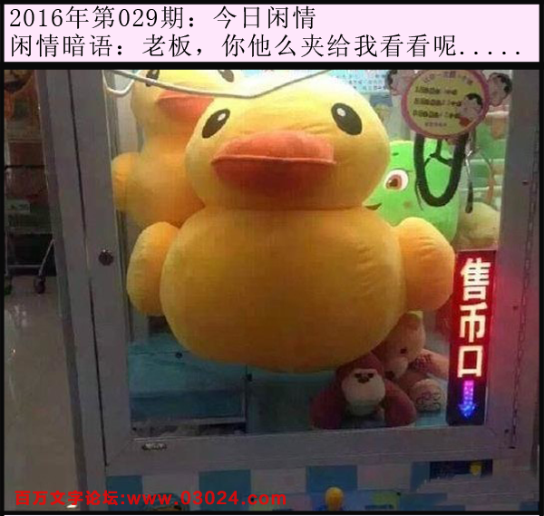 029期今日闲情：老板，你他么夹给我看看呢.....
