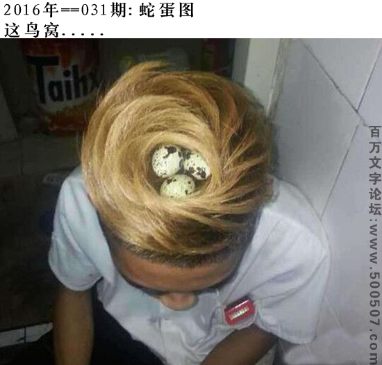 031期蛇蛋图：这鸟窝.....