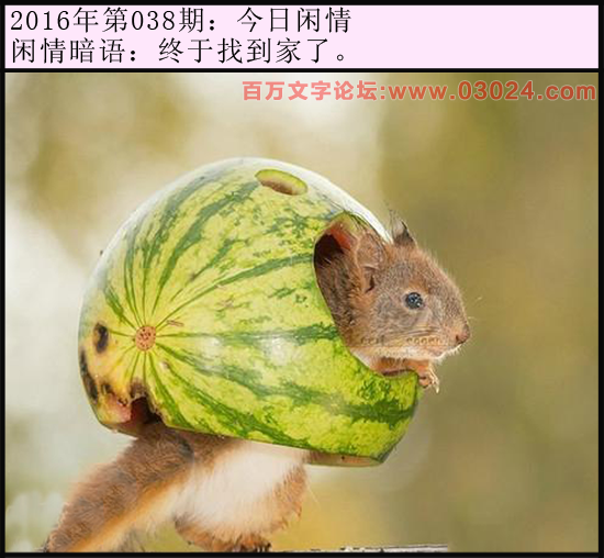 038期今日闲情：终于找到家了。
