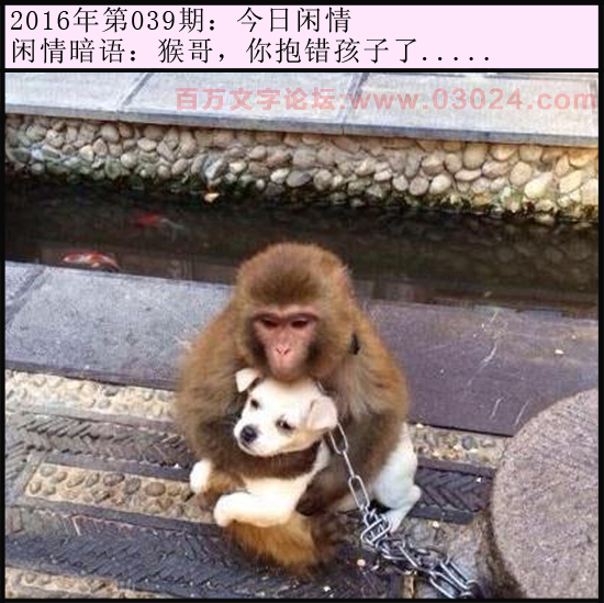 039期今日闲情：猴哥，你抱错孩子了.....