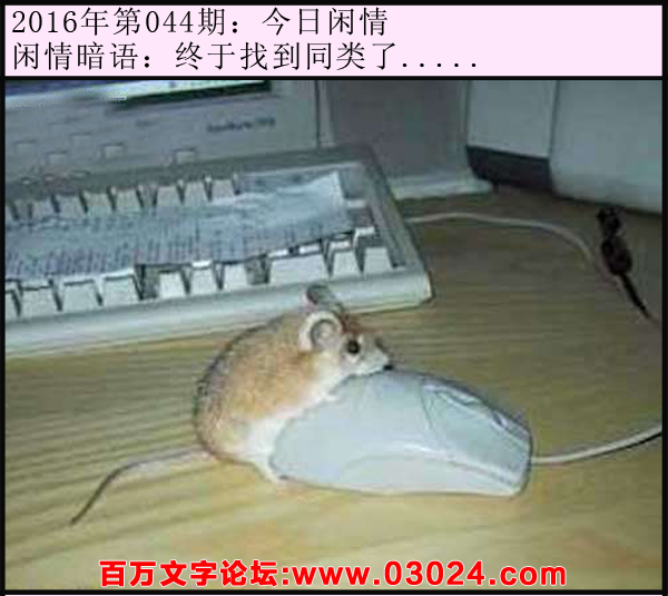 044期今日闲情：终于找到同类了.....