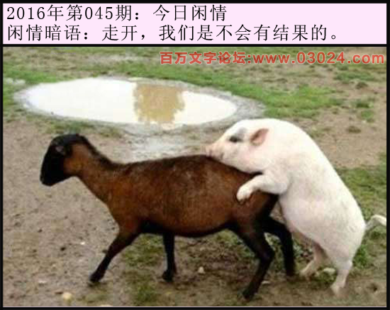 045期今日闲情：走开，我们是不会有结果的。