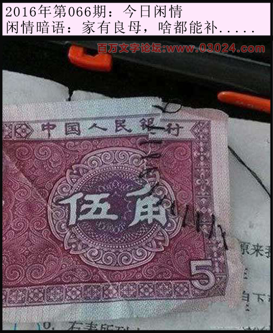 066期今日闲情：家有良母，啥都能补.....