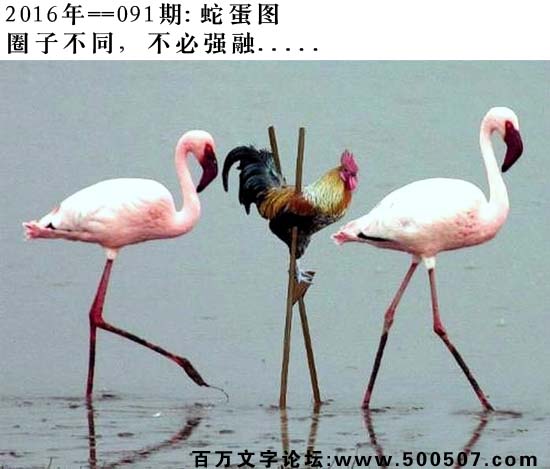 091期蛇蛋图：圈子不同，不必强融.....