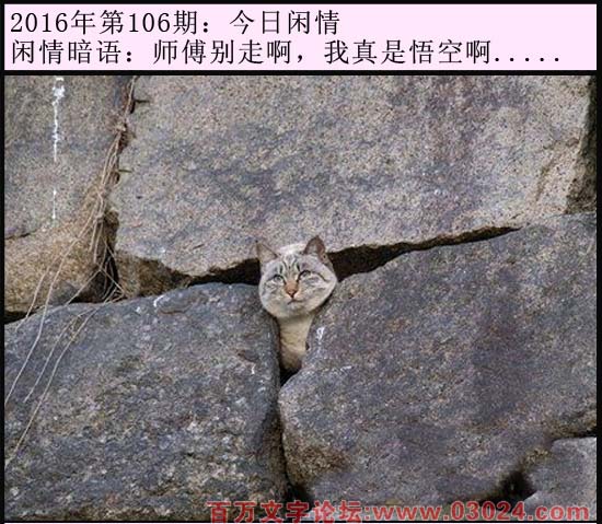 106期今日闲情：师傅别走啊，我真是悟空啊.....