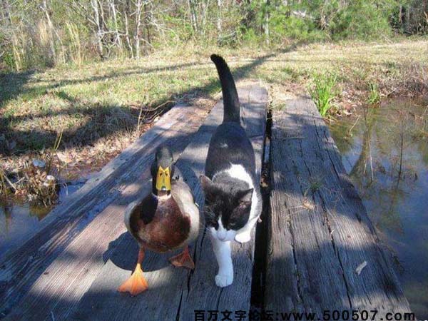 2016年第110期幽默猜测：湖畔游玩
