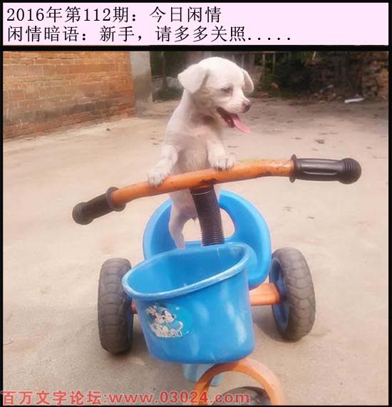 112期今日闲情：新手，请多多关照.....