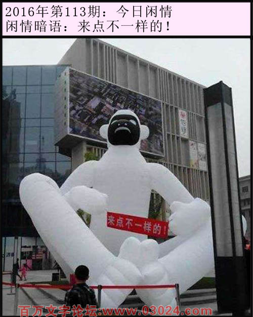 113期今日闲情：来点不一样的！