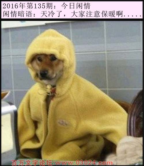 135期今日闲情：天冷了，大家注意保暖啊.....