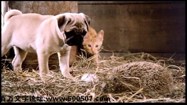 2016年第149期幽默猜测：不速之客