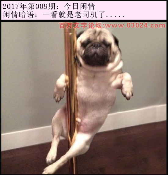 009期今日闲情：一看就是老司机了.....