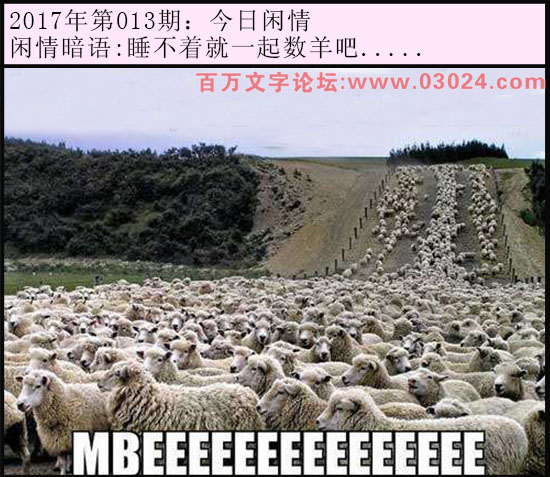 013期每日闲情：睡不着就一起数羊吧.....
