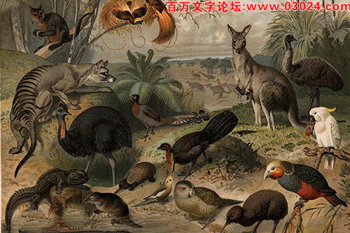 2017年第013期幽默猜测：动物世界