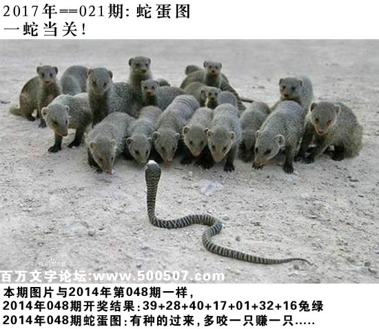 021期：玄机图/悟入其图/捉生肖/百家姓/七星图/好图乐翻天/藏宝图/发财玄机图/跑狗图/蛇蛋图/彩民提供