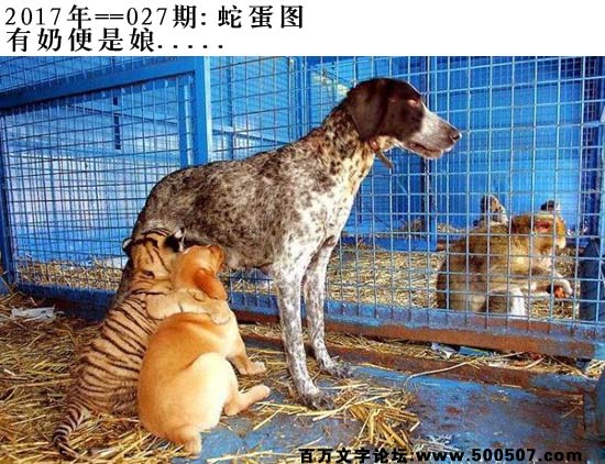 027期蛇蛋图：有奶便是娘.....