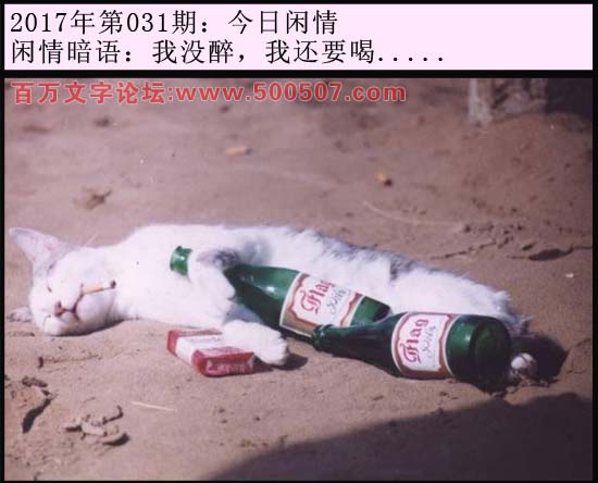031期今日闲情：我没醉，我还要喝.....