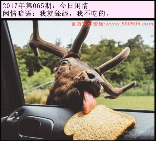 065期今日闲情：我就舔舔，我不吃的。