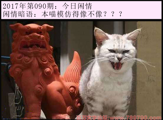 090期今日闲情：本喵模仿得像不像？？？