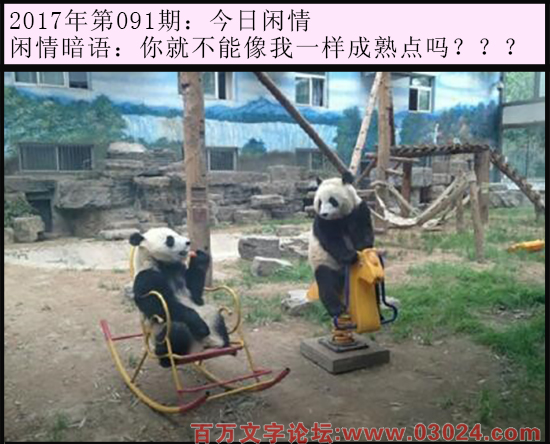 091期今日闲情：你就不能像我一样成熟点吗？？？