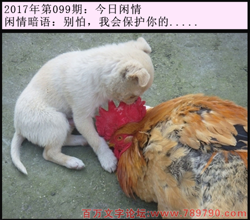 099期今日闲情：别怕，我会保护你的.....