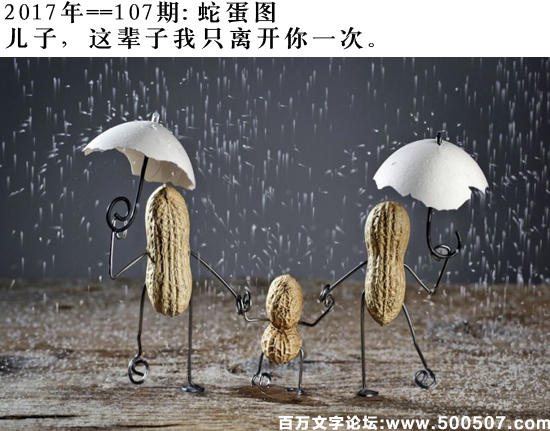 107期：玄机图/悟入其图/捉生肖/百家姓/七星图/好图乐翻天/藏宝图/发财玄机图/跑狗图/蛇蛋图/彩民提供