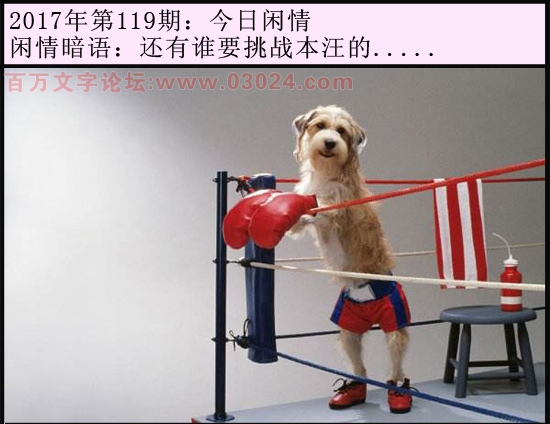 119期今日闲情：还有谁要挑战本汪的.....