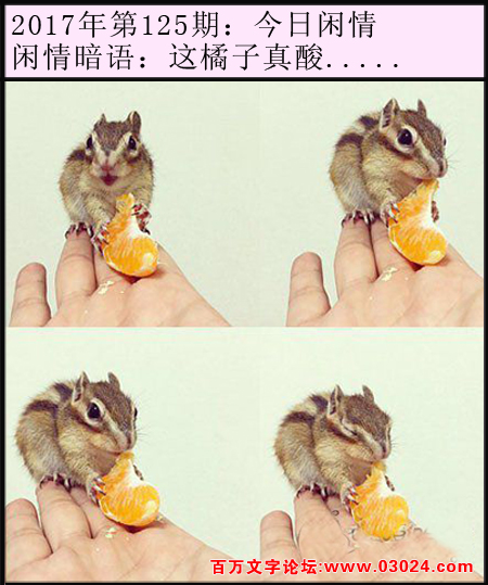 125期今日闲情：这橘子真酸.....