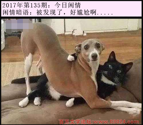 135期今日闲情：被发现了，好尴尬啊.....
