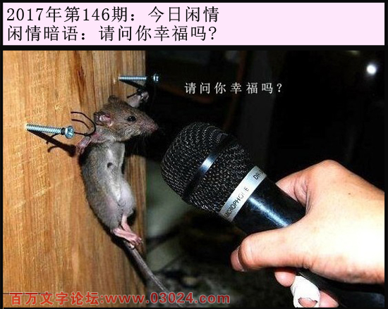 146期今日闲情：请问你幸福吗?