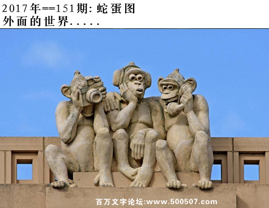 151期：玄机图/悟入其图/捉生肖/百家姓/七星图/好图乐翻天/藏宝图/发财玄机图/跑狗图/蛇蛋图/彩民提供