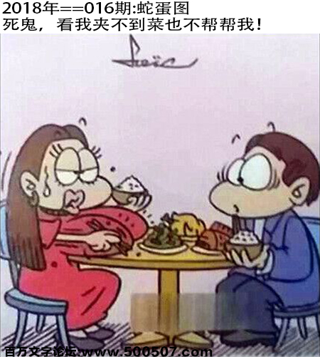 016期：玄机图/悟入其图/捉生肖/百家姓/七星图/好图乐翻天/藏宝图/发财玄机图/跑狗图/蛇蛋图/彩民提供