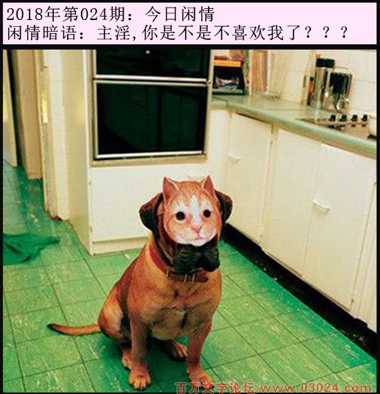 024期今日闲情：主淫,你是不是不喜欢我了？？？