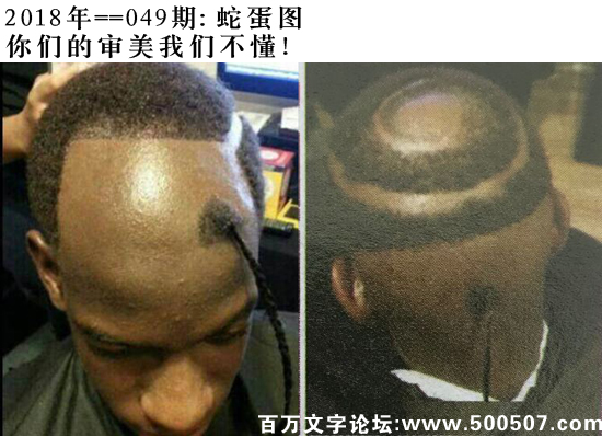 049期蛇蛋图：你们的审美我们不懂！