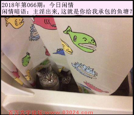 066期今日闲情：主淫出来,这就是你给我承包的鱼塘？