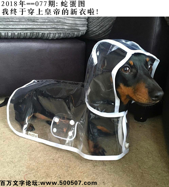 077期蛇蛋图：我终于穿上皇帝的新衣啦！