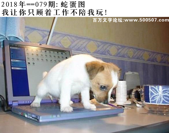 079期蛇蛋图：我让你只顾着工作不陪我玩！