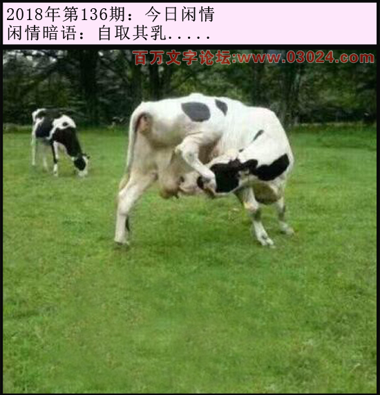 136期今日闲情：自取其乳.....