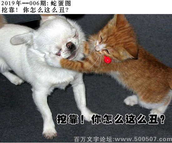 006期蛇蛋图：挖靠！你怎么这么丑？
