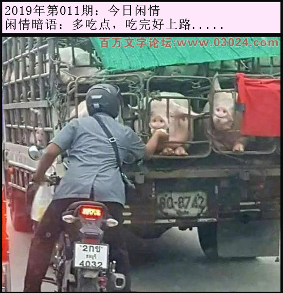 011期今日闲情：多吃点，吃完好上路.....