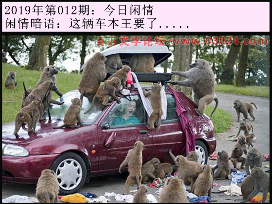 012期今日闲情：这辆车本王要了.....