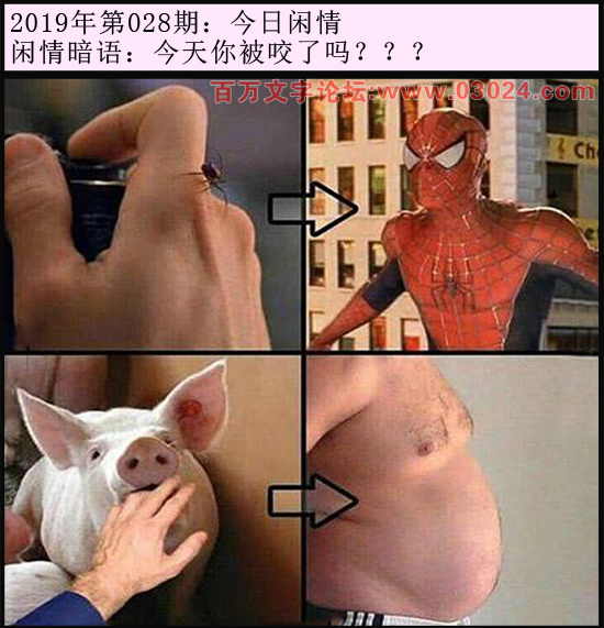 028期今日闲情：今天你被咬了吗？？？