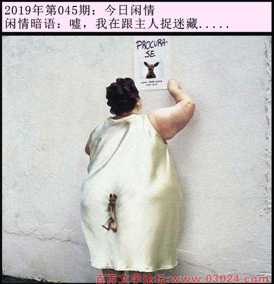 045期今日闲情：嘘，我在跟主人捉迷藏.....