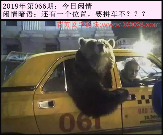 066期今日闲情：还有一个位置，要拼车不？？？