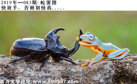 083期蛇蛋图：快放手，否则别怪我.....