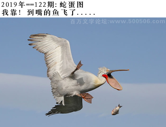 122期：相入非非/百家姓/七星图/好图乐翻天/藏宝图/发财玄机图/跑狗图/蛇蛋图/電郵天地/彩民提供
