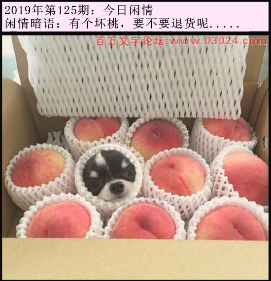 125期今日闲情：有个坏桃，要不要退货呢.....