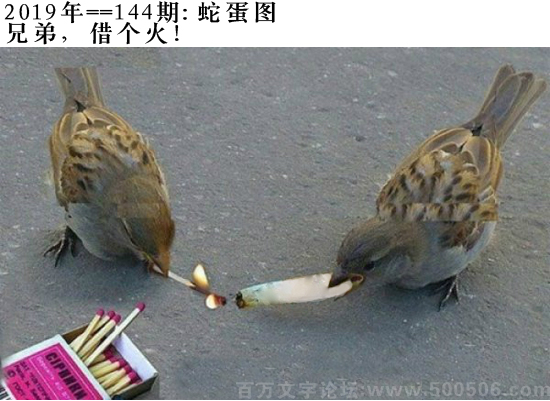 144期：相入非非/百家姓/七星图/好图乐翻天/藏宝图/发财玄机图/跑狗图/蛇蛋图/電郵天地/彩民提供
